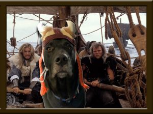 black lab dog with viking hat in a shi