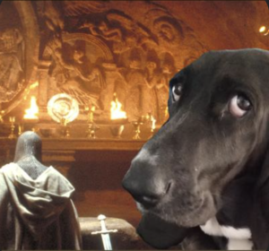 black basset hound in cave with medieval knight